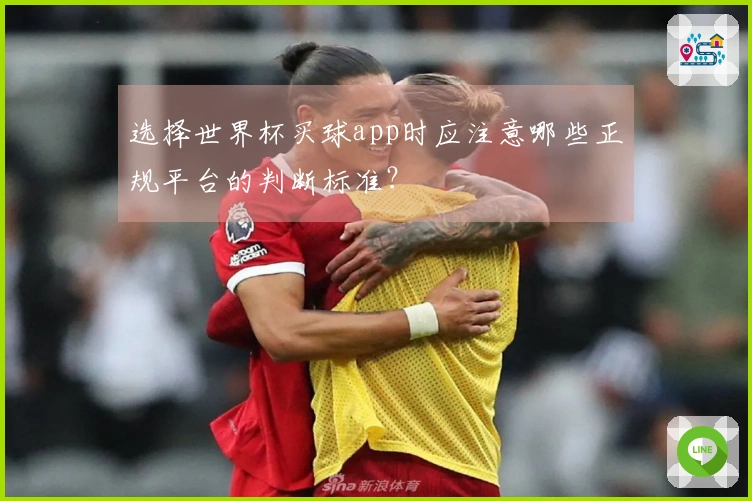 选择世界杯买球app时应注意哪些正规平台的判断标准？