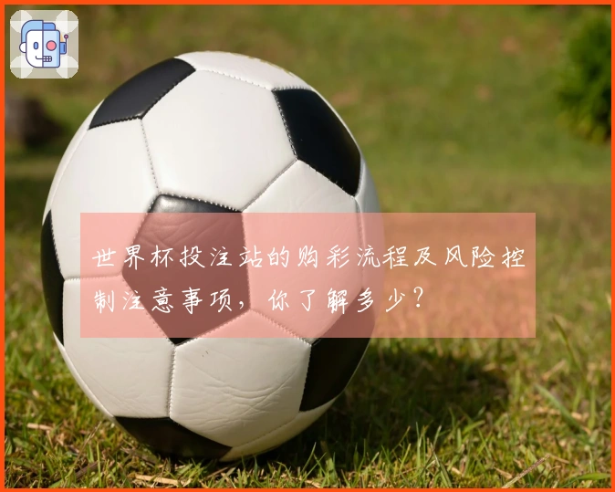 世界杯投注站的购彩流程及风险控制注意事项，你了解多少？