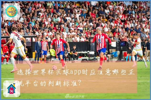 选择世界杯买球app时应注意哪些正规平台的判断标准？