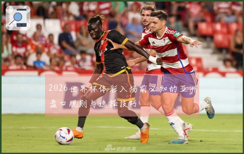 2026世界杯体彩入场前必知的亚洲盘口规则与选择技巧