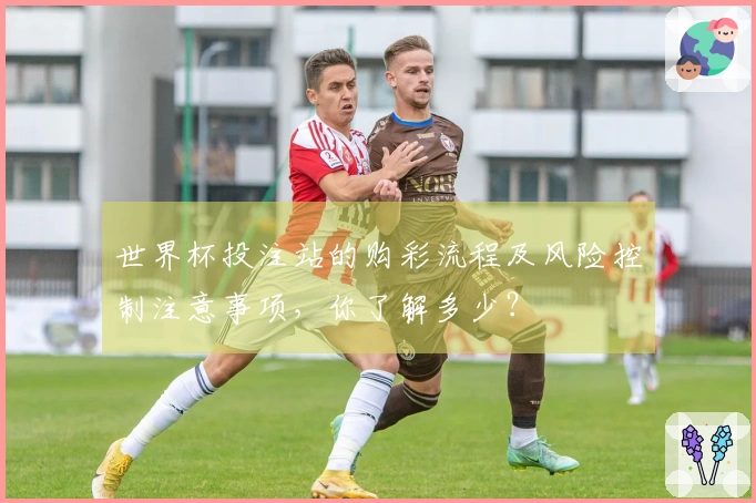 世界杯投注站的购彩流程及风险控制注意事项，你了解多少？