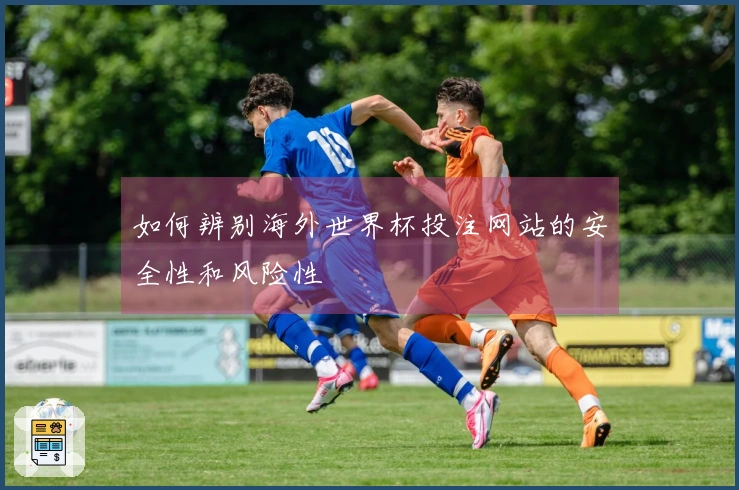 如何辨别海外世界杯投注网站的安全性和风险性