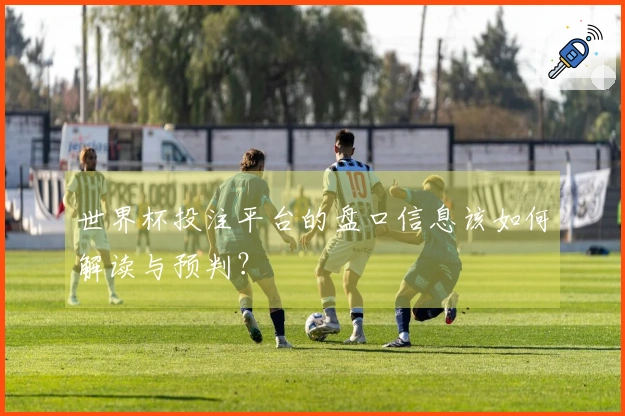 世界杯投注平台的盘口信息该如何解读与预判？