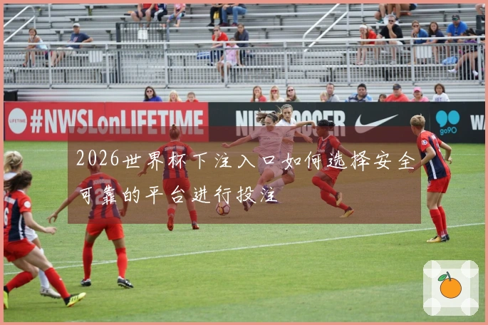 2026世界杯下注入口如何选择安全可靠的平台进行投注