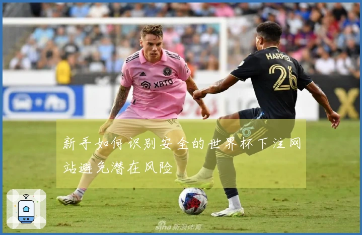 新手如何识别安全的世界杯下注网站避免潜在风险